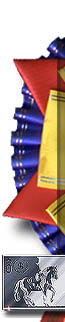 1new.jpg (10621 bytes)