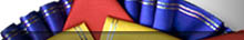 2new.jpg (6395 bytes)