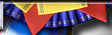 4new.jpg (8956 bytes)