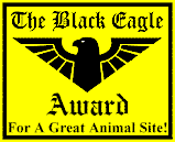 The Black Eagle Award (2596 bytes)